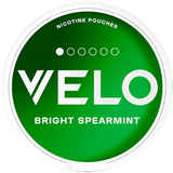 VELO Spiffy Spearmint Mini